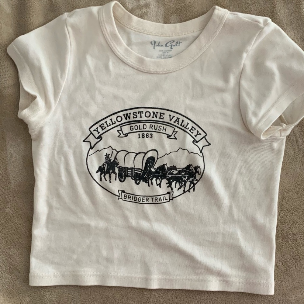 Brandy Melville Cropped tan baby tee